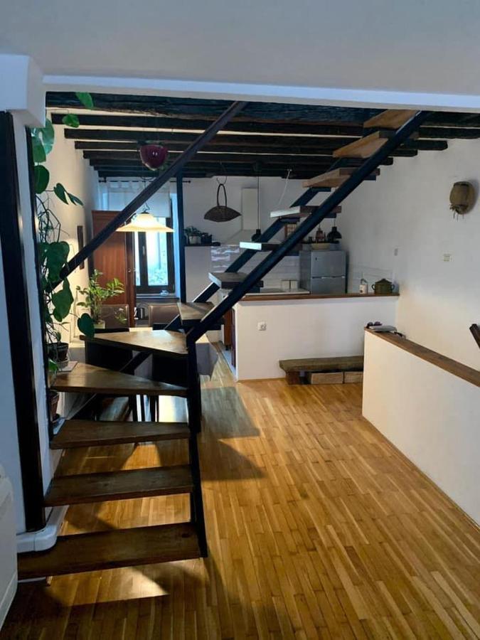 Apartment Capo D'Istria Κόπερ Εξωτερικό φωτογραφία