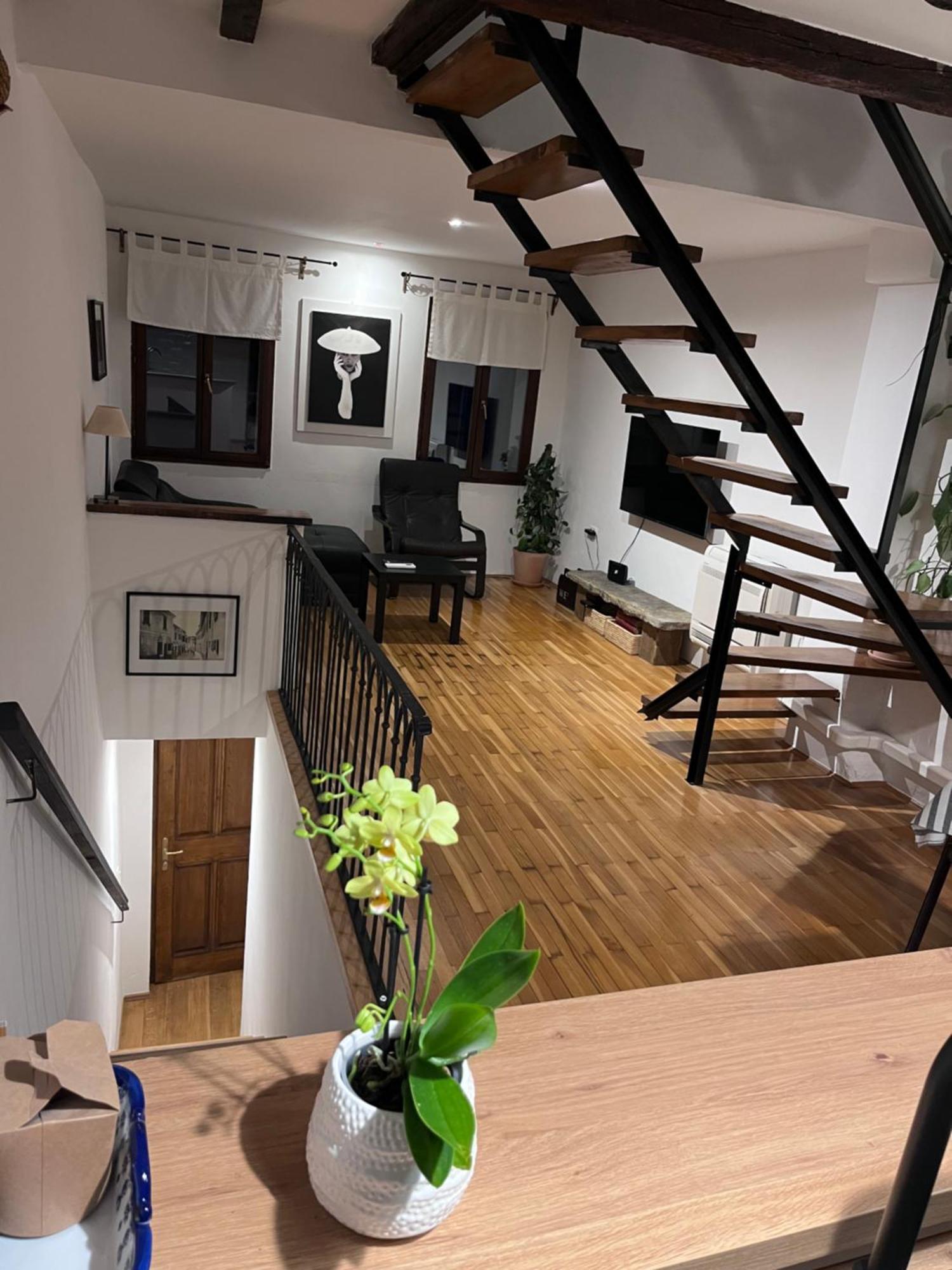 Apartment Capo D'Istria Κόπερ Εξωτερικό φωτογραφία